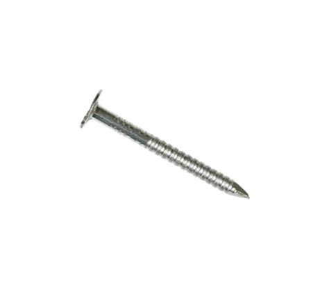 1 12 In Stainless Steel Ring Shank Roofing Nail 25 Lb At Capitol