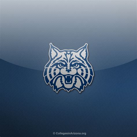 Arizona Wildcats Desktop Wallpaper Wallpapersafari