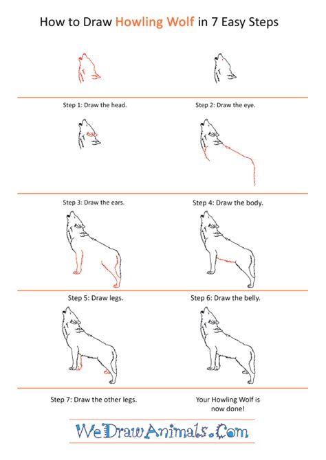 How To Draw A Realistic Wolf Howling