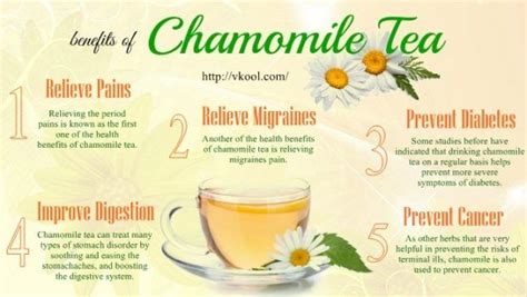 12 Health Benefits Of Chamomile Tea For Hair Skin And Whole
