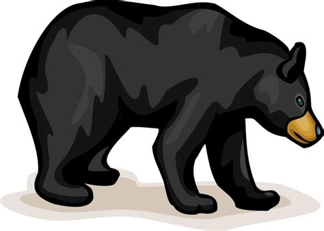 black bear cartoon clipart best