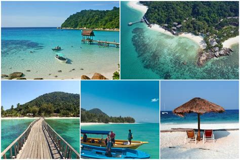 Pulau Babi Besar Johor Harry Tucker