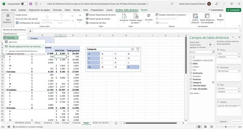 Filtrar De Diferentes Formas Los Datos En Las Tablas Dinamicas Avanzadas En Excel Cap Youtube