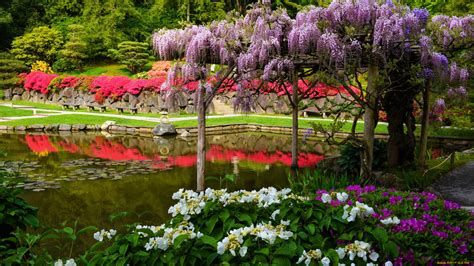 Скачать обои Seattle Japanese Garden Washington природа парк