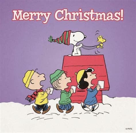 Merry Christmas Christmas And Chanukah Snoopy Christmas Charlie