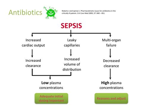 Ppt Sepsis And Drugs Powerpoint Presentation Free Download Id4900624