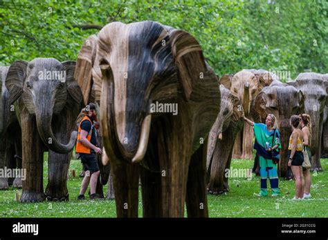 London Uk 13th June 2021 The Elephant Herd Heads Into Green Park As Part Of An Ogoing