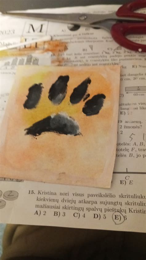 Paw Print Rtherianhypehouse