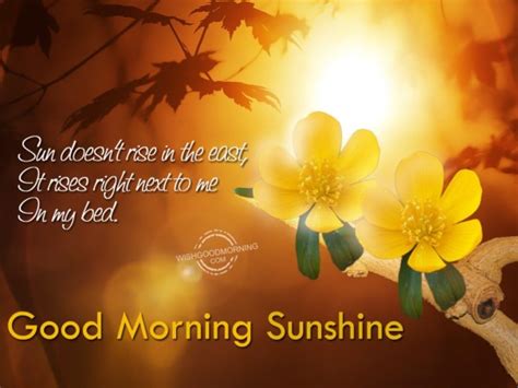 Good Morning Sunshine Good Morning Wishes And Images