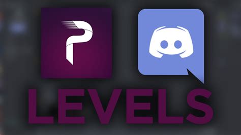 How To Set Up The Probot Leveling System Discord Bot How To Get