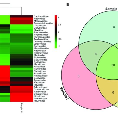 Abundance Of Viral Families And Their Relationship In Three Samples