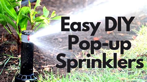 How To Install Pop Up Sprinklers In Your Lawn Youtube