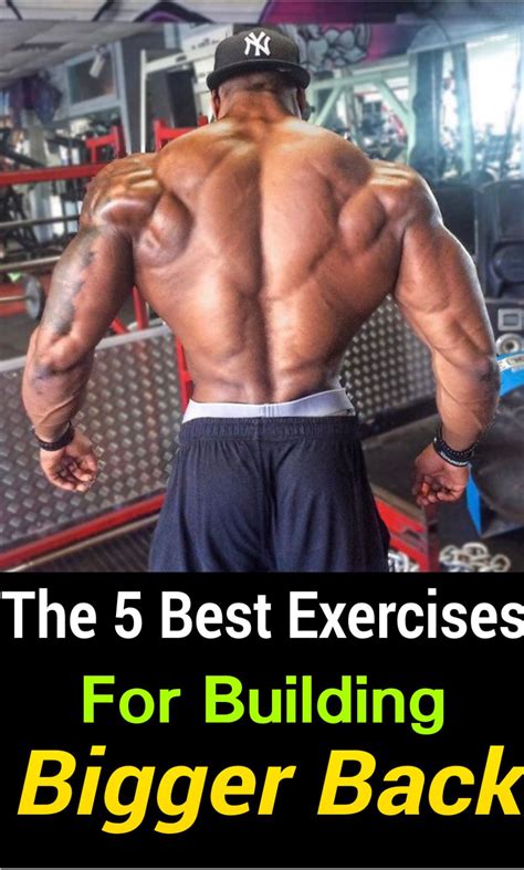 The 5 Best Exercises For Building Building Bigger Back Back And