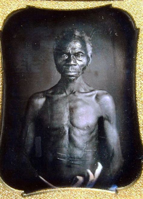 harvard slave photo lawsuit dismissed