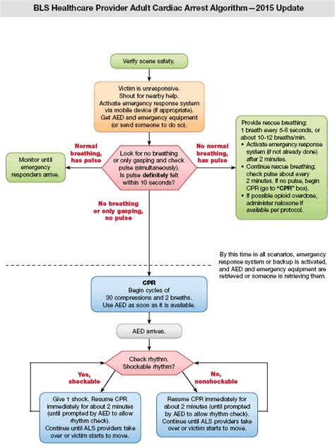 Acls Guidelines 2015 Update Adult Basic Life Support