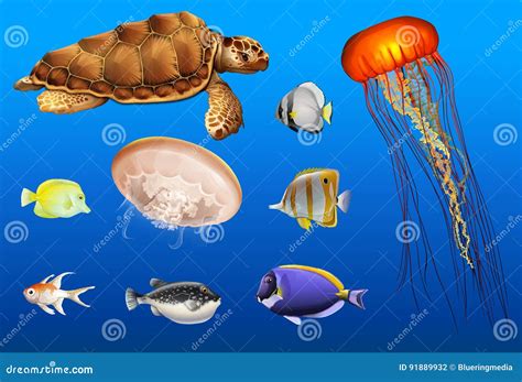 Different Types Of Sea Animals In Ocean Stock Vector Illustration Of