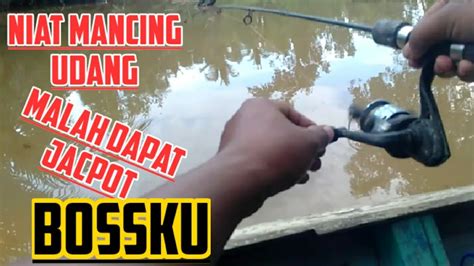 Sebelum melihat resepi, kita bercerita sedikit bab sambal tumis udang yang merupakan antara lauk feveret di rumah kami kerana hubby dan anak anak memang menggemarinya sejak dulu. Mancing udang galah - YouTube