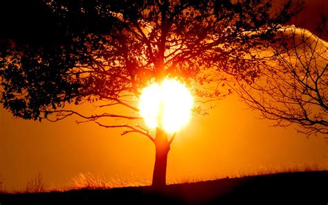 Hình Nền Ánh Sáng Mặt Trời Phong Cảnh Hoàng Hôn Bình Minh Tối Buổi Sáng Mặt Trời ánh
