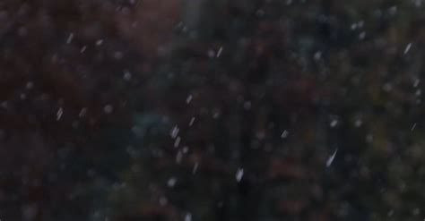 Snow Falling In A Forest Free Stock Video Footage Royalty Free 4k And Hd
