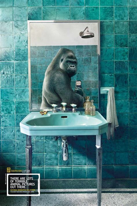25 Cute And Funny Print Ads Starring Animals Bored Panda