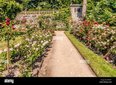 Rose Garden At The Norman Castle Haddon Hall Near Bakewell Derbyshire