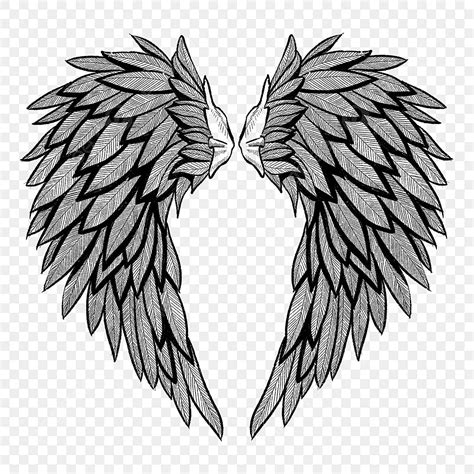 Detailed Angel Wings Drawing
