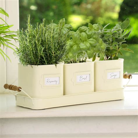 Set Of 3 Kitchen Herb Planters With Fitted Tray Windowsill Etsy