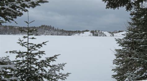 The Agatelady Adventures And Events Winter Snowshoe And Picnic