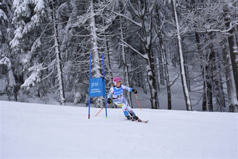 2015 2019 Skiteamct Cz