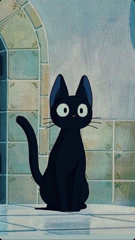 Jiji Cat Wallpapers Top Free Jiji Cat Backgrounds Wallpaperaccess