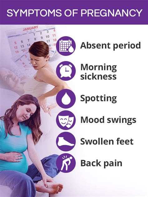 Pregnancy Signs And Symptoms Shecares