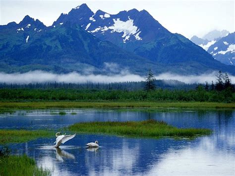 Fondo De Pantalla Aesthetic Naturaleza Alaska Reflexión 🔥 Descargar Fondo