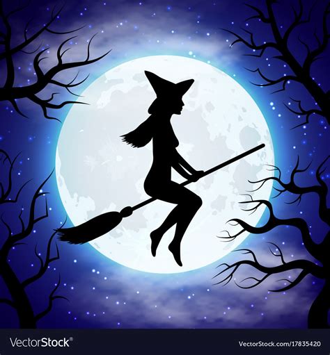 Silhouette Of Witch Flying On The Broom In Vector Image