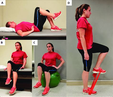 Hip Fl Exion Progression For Iliopsoas Syndrome All Exercises Are Hot