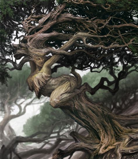 Fantasy Art Tree Curves Picture 2d Fantasy Tree Magical Tree