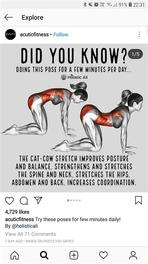 Clear action plan to reach your fitness goals: Cat-Cow Stretch Pose in 2020 | Easy yoga workouts, Yoga ...