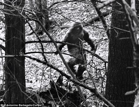 Man Claims To Have Shot Bigfoot In Texas But Is Holding Back The Body
