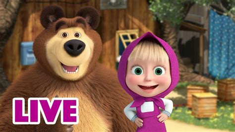 🔴 Live Stream 🎬 Masha And The Bear 🎤📺our Next Guest Is 🎤📺 Youtube