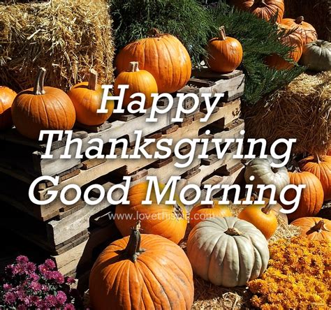 Pumpkin Stack Happy Thanksgiving Good Morning Quote Pictures Photos