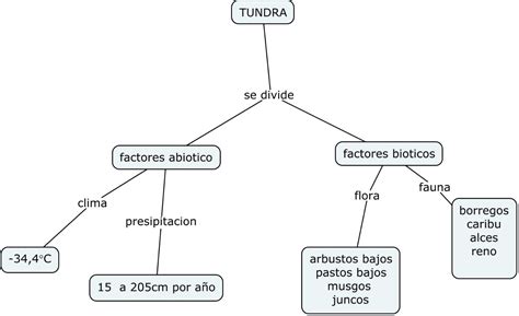 Mapas Biomas Biomas Mapas Conceptuales The Best Porn Website