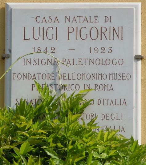 Lapide A Luigi Pigorini Guida Fontanellato Wiki