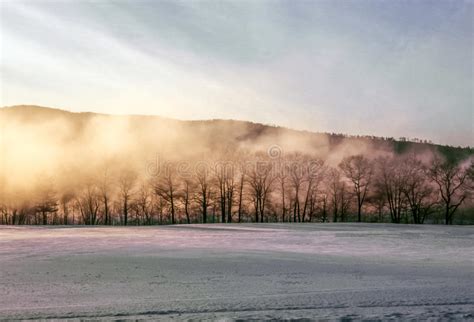 Misty And Foggy Morning In Maine Stock Image Image Of Foggy Season