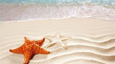 Wallpaper Sea 5k 4k Wallpaper Ocean Starfish Shore Best Beaches