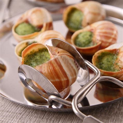 Escargot Raw Snail Dish From France ~ Travell And Culture