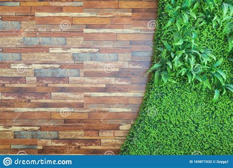 The Green Walls And Wood Texture Stock Photo Image Of