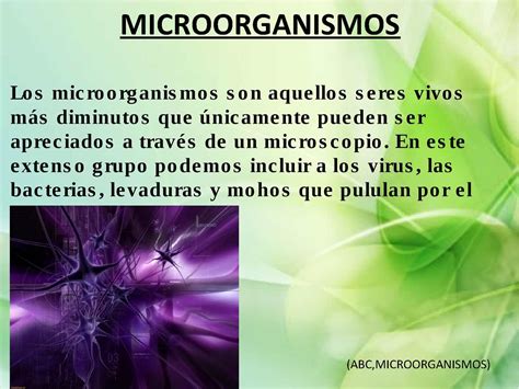 Calaméo Clasificación De Los Microorganismos