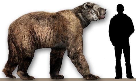 Top 5 Prehistoric Predators Of Ice Age North America Owlcation