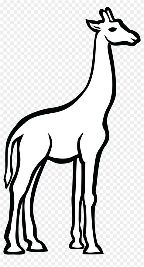 Free Clipart Of A Giraffe Black And White Line Drawing Giraffe Png