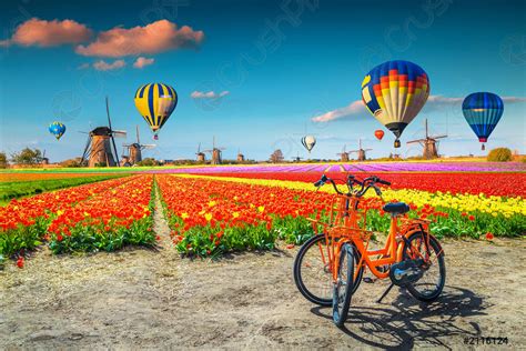 Colorful Tulip Fields Bicycles Windmills And Hot Air Balloons