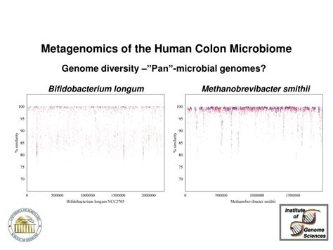 Ppt Human Microbial Metagenomics Understanding Our Microbial Selves